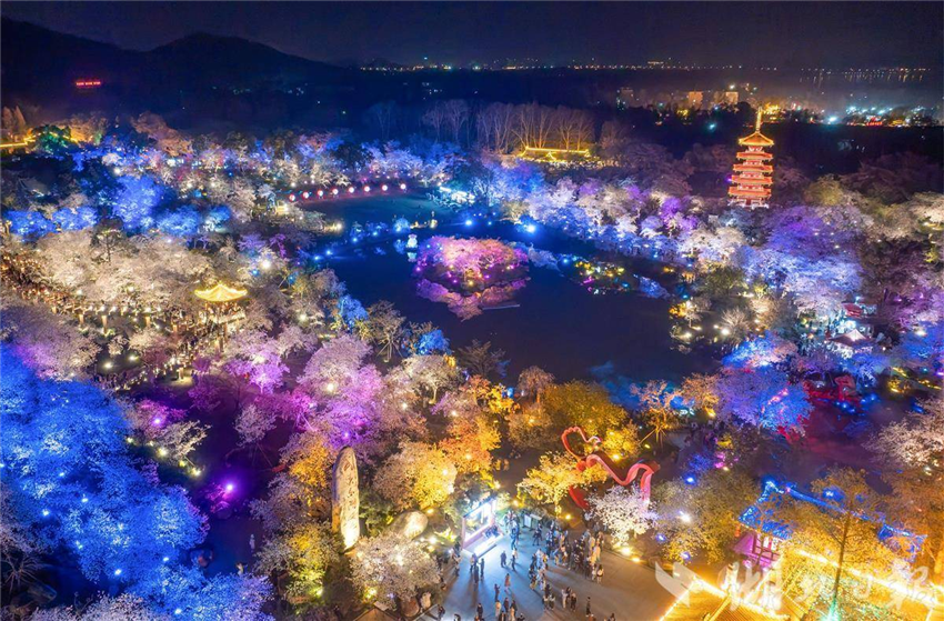 比白天更美！武汉东湖夜樱璀璨引客醉_fororder_微信图片_20250327094901