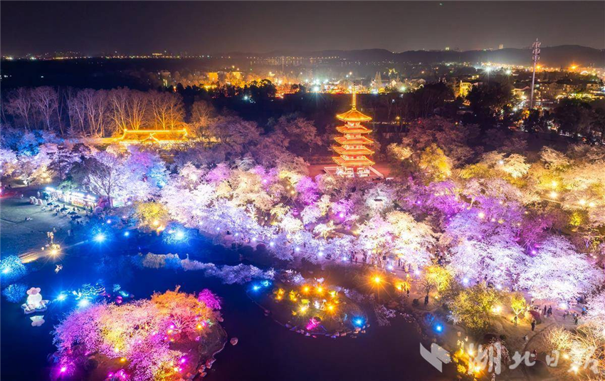 比白天更美！武汉东湖夜樱璀璨引客醉_fororder_微信图片_20250327094911