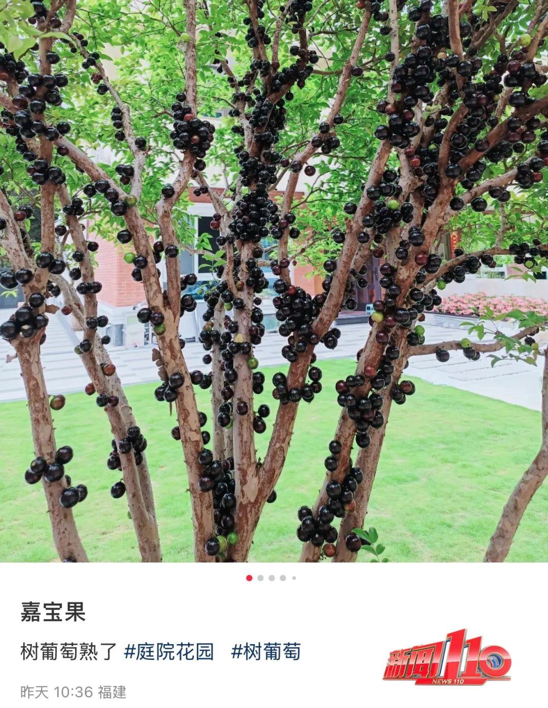 价格暴跌超90%！福州大量上市！