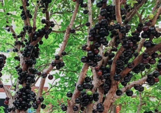 价格暴跌超90%！福州大量上市！