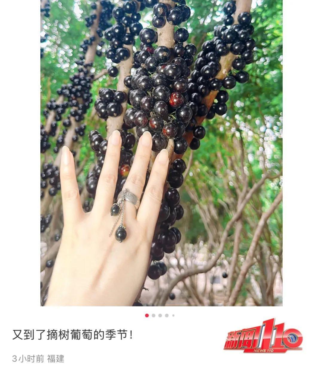 价格暴跌超90%！福州大量上市！