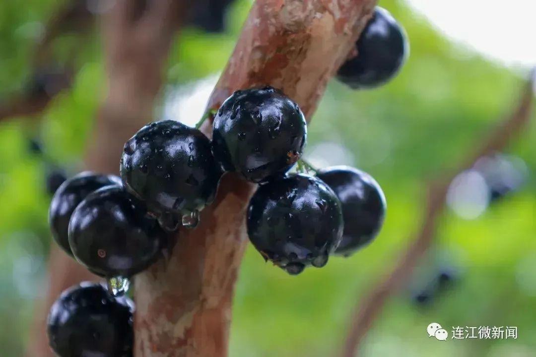 价格暴跌超90%！福州大量上市！