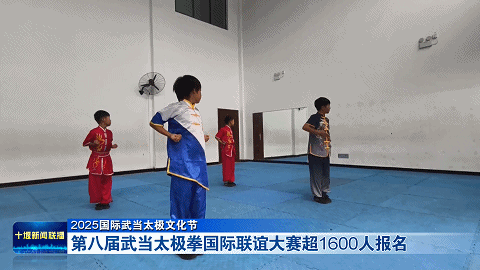 第八届武当太极拳国际联谊大赛超1600人报名20251014185571