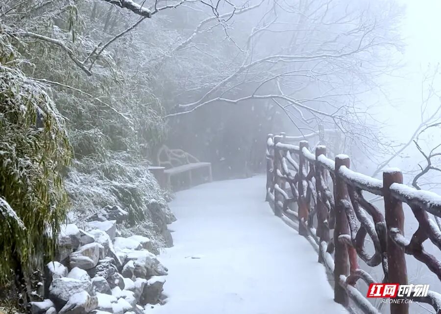 微信图片_20251231125123_190_1004.jpg