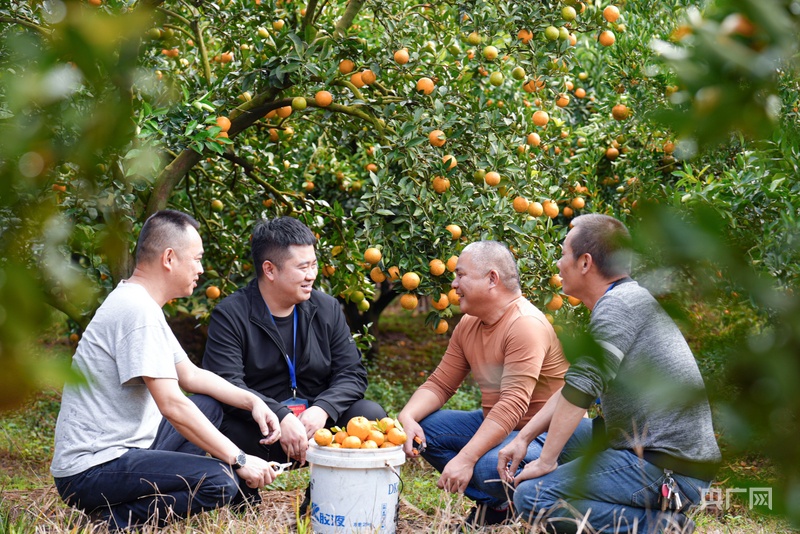 福建清流，创新干部培养机制 激发发展新动能