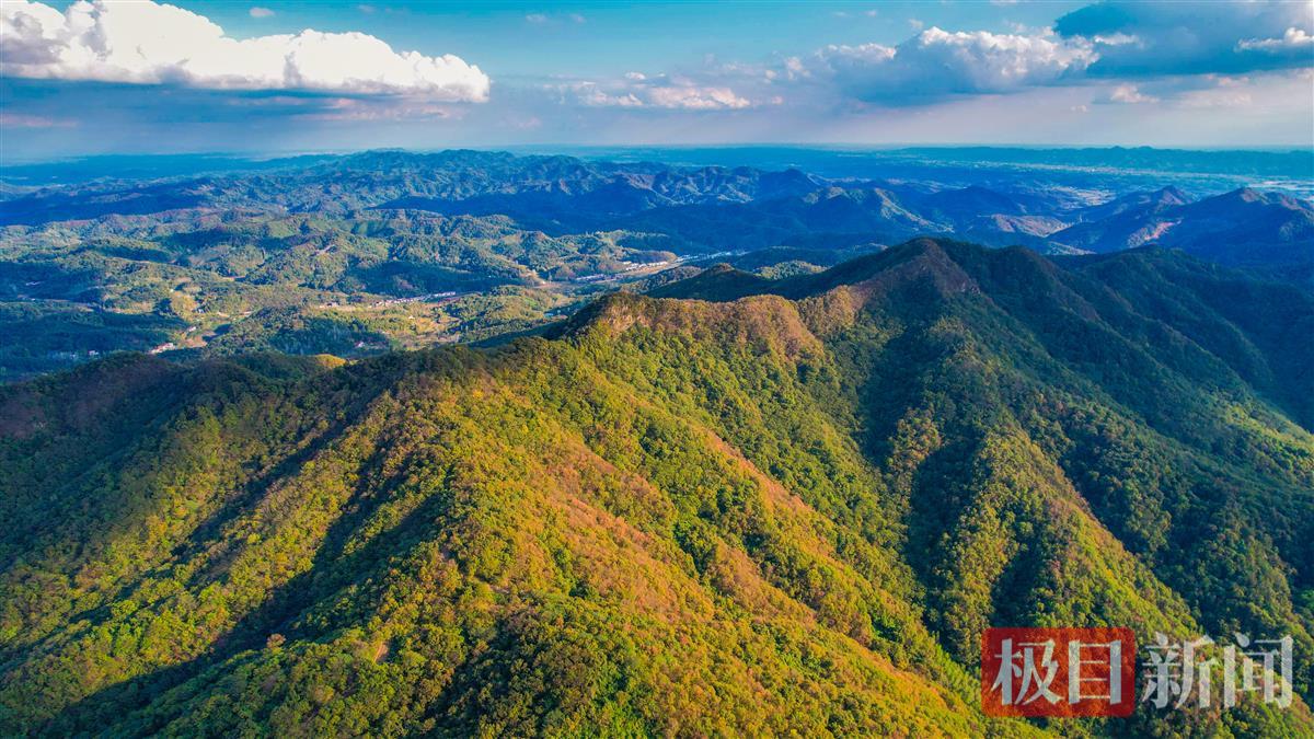 10月18日，随州大洪山秋色。（极目新闻记者 黄志刚 摄） (1).jpg