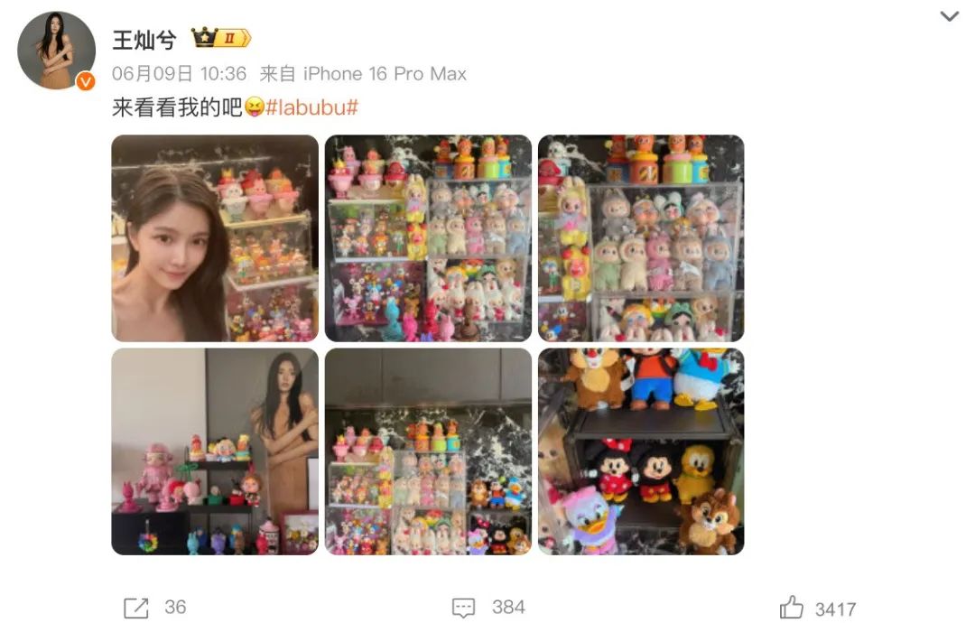 杜淳妻子王灿兮晒整柜Labubu ，一众爆款IP齐聚！网友：我的 “梦中情柜”
