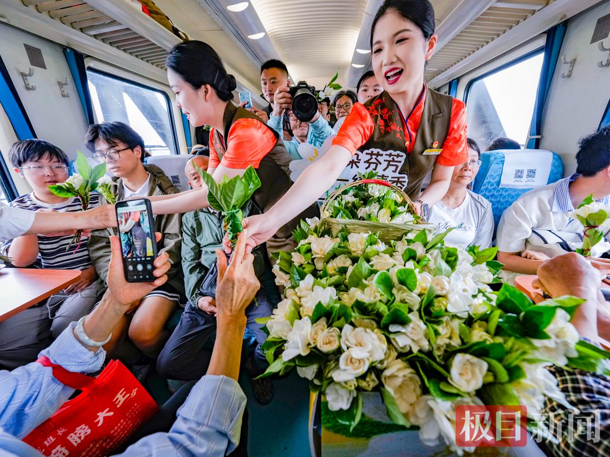 栀子花6.jpg