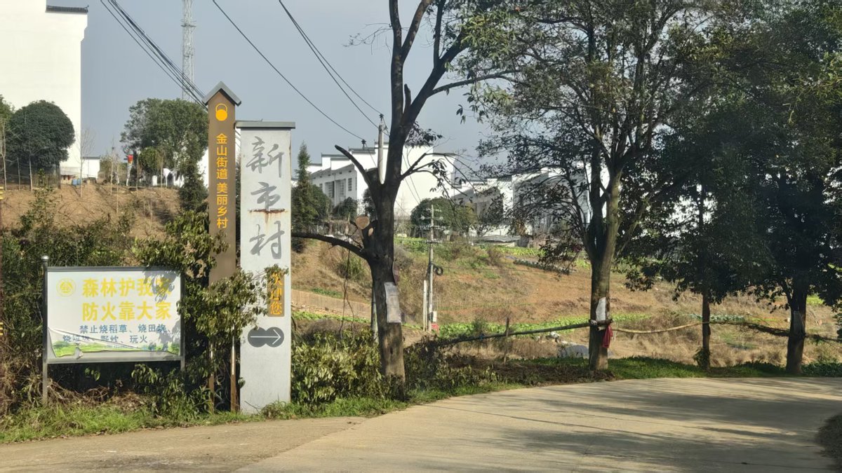 新市村 极目新闻记者摄.jpg