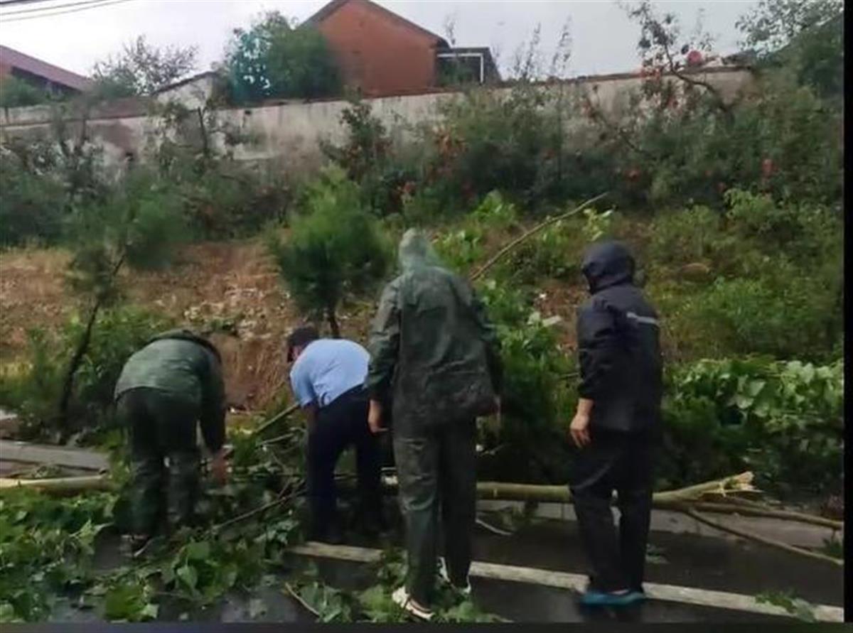 A蒙阴突降冰雹砸烂蜜桃.jpg