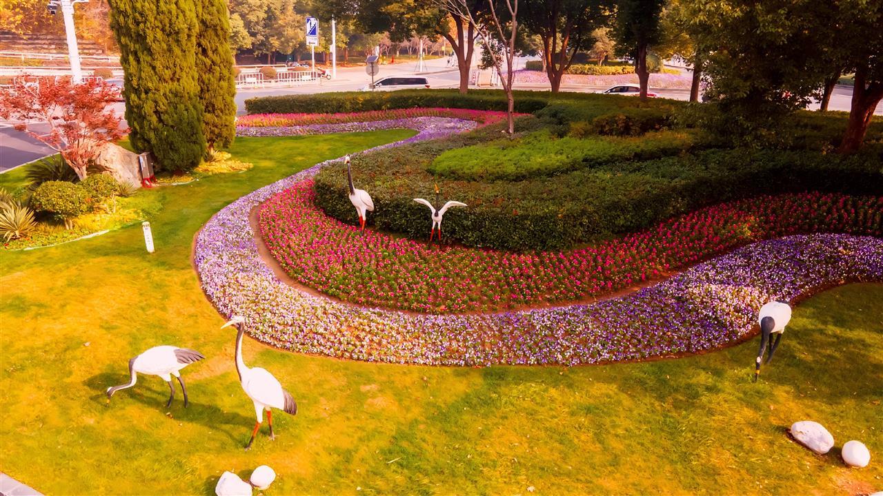 梨园转盘 (2).jpg