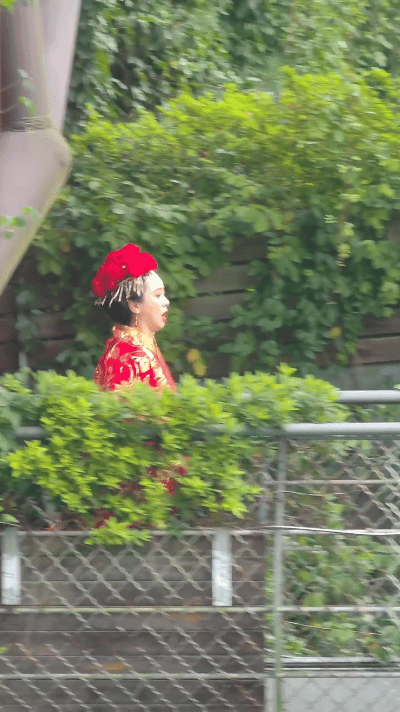 56岁女星翁虹景区再扮猫妖，网友：还是30岁的样子