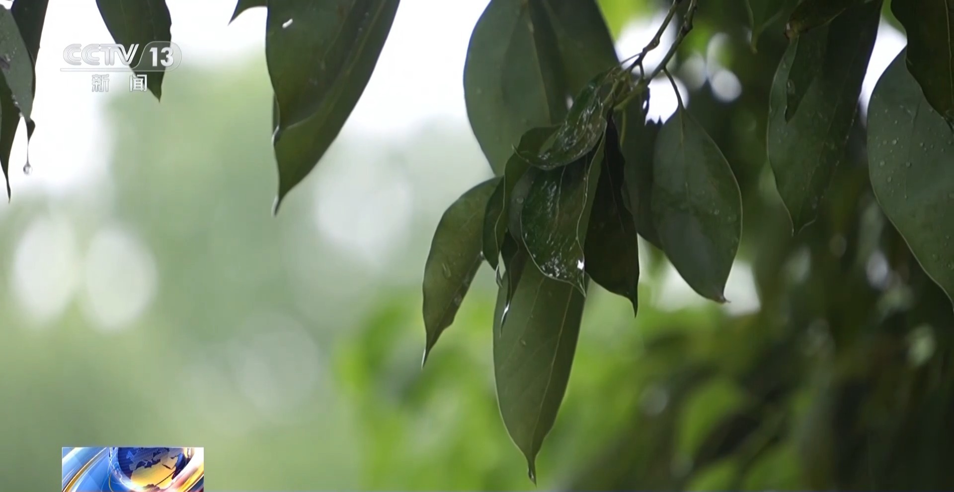 洪水频发如何预警？揭秘雨水情监测背后的“三道防线”