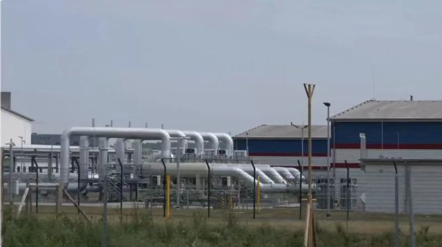 （图片来源：新华社）