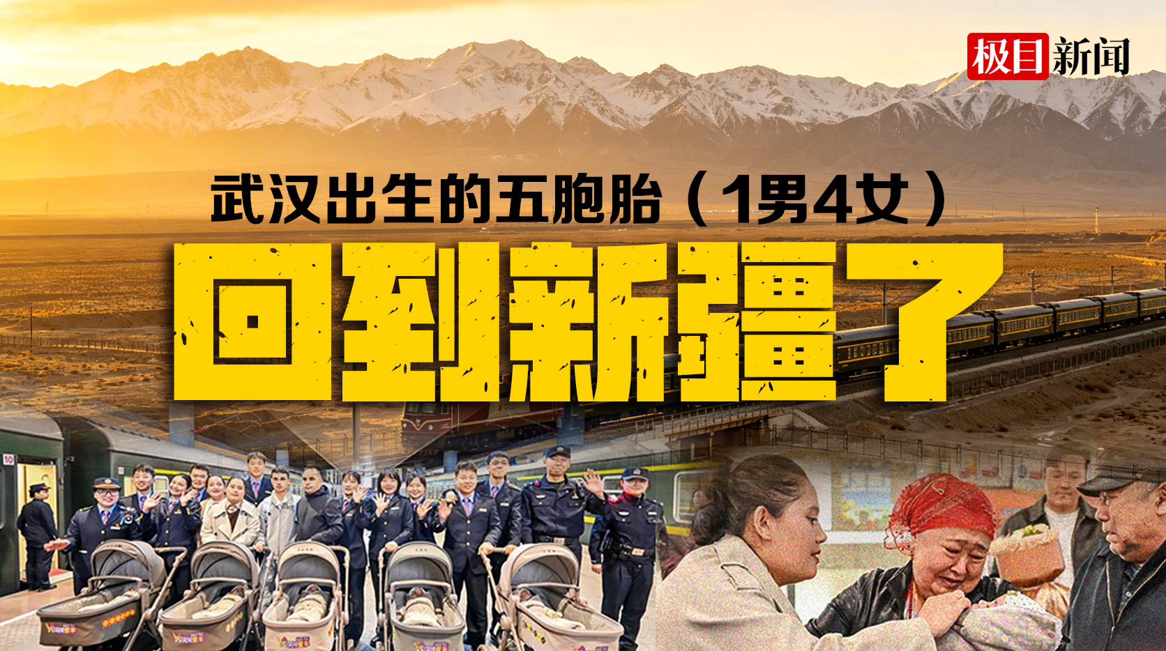 鄂疆同心护生
