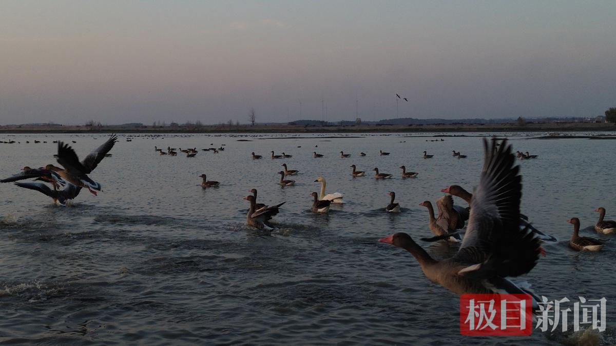 组图-振羽 (2).jpg