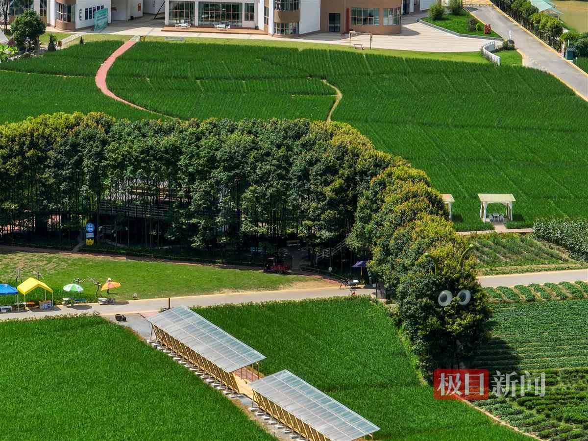 DJI_0465.JPG