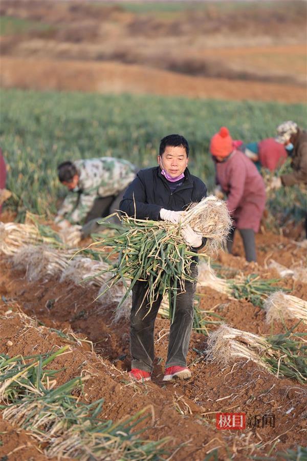 “大葱哥”朱德林