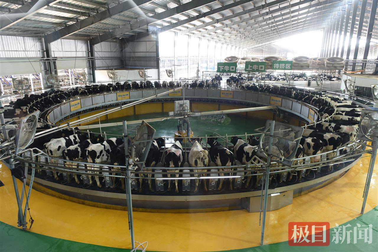 webwxgetmsgimg (4).jpg