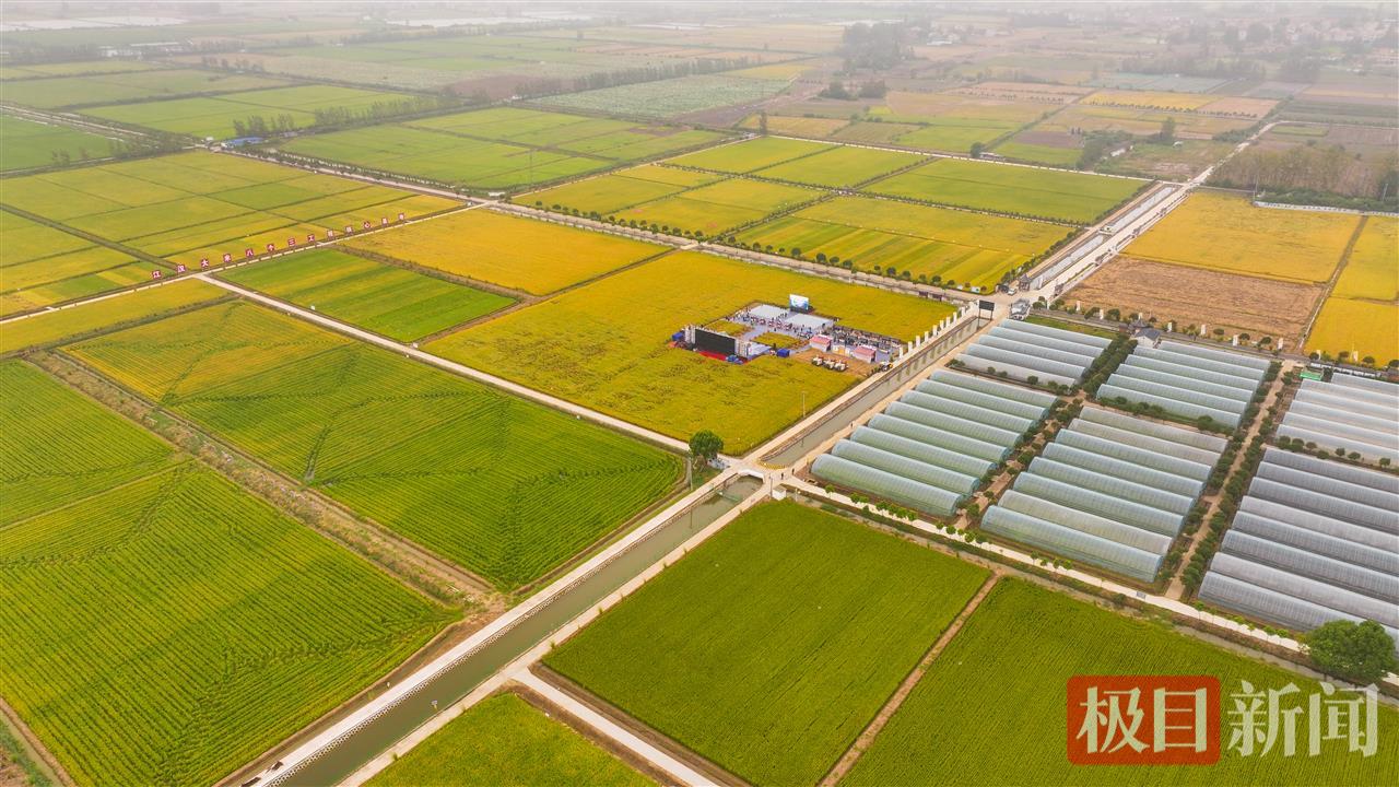 9月23日，湖北监利，水润荆楚·江米如珠，全国主流媒体走进江汉大米品牌核心地品牌推介会现场。（监利融媒记者 饶志超 摄）.jpg