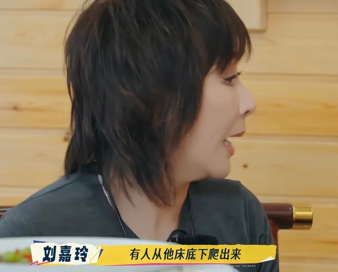 刘嘉玲曝刘德华收工回酒店，有人从他床底下爬出来，“在里面躲了一天”