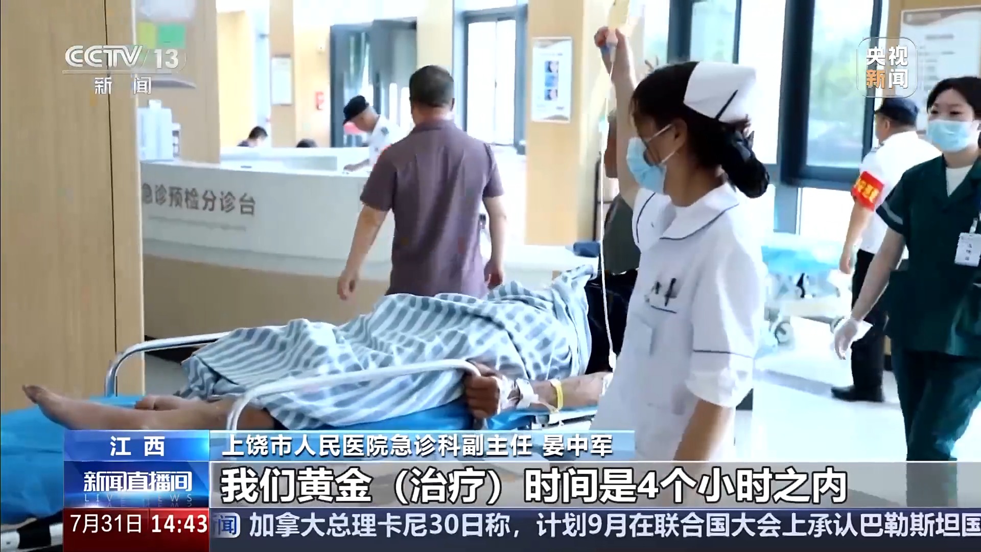 被毒蛇咬伤之后应该怎么办？注意千万不要用嘴吸吮伤口 | 极目新闻