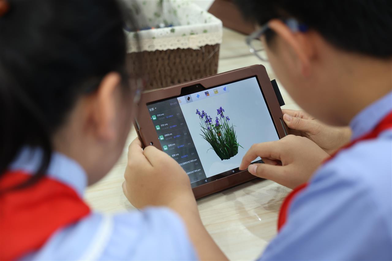 汉阳区芳草小学戴湘萍老师 (7).JPG