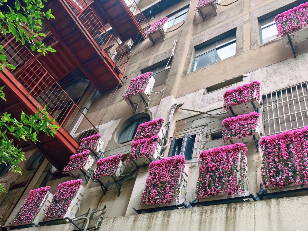 粉色樱花悄然开满建筑墙面，江岸精心装扮“樱花赛道” (1).jpg