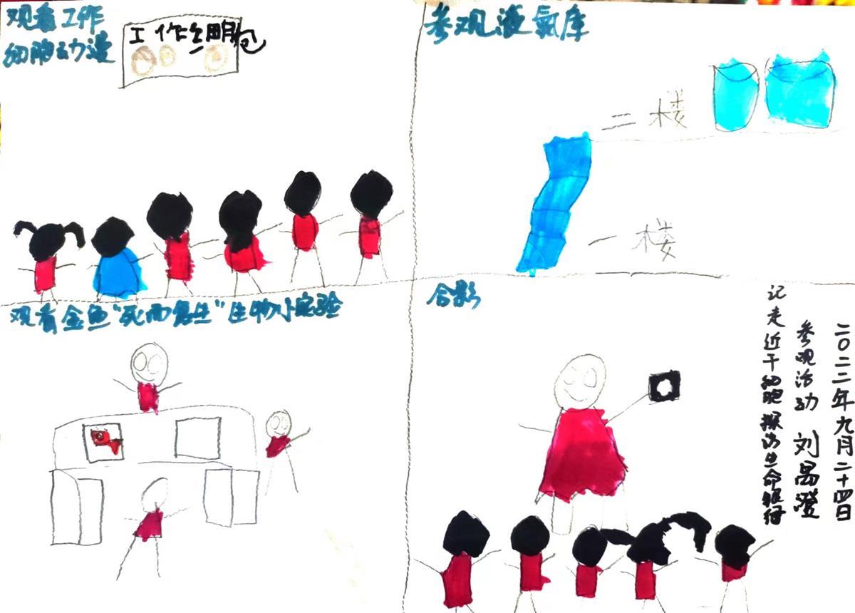 小记者投稿——画作