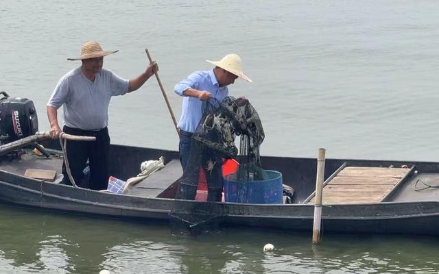 阳澄湖上，蟹农将第一网大闸蟹捕捞出水。新京报记者李阳 摄