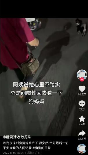 街头狗妈妈难产，阿姨扔下烧烤摊……百万网友怒赞！不敢公布的秘密是什么？