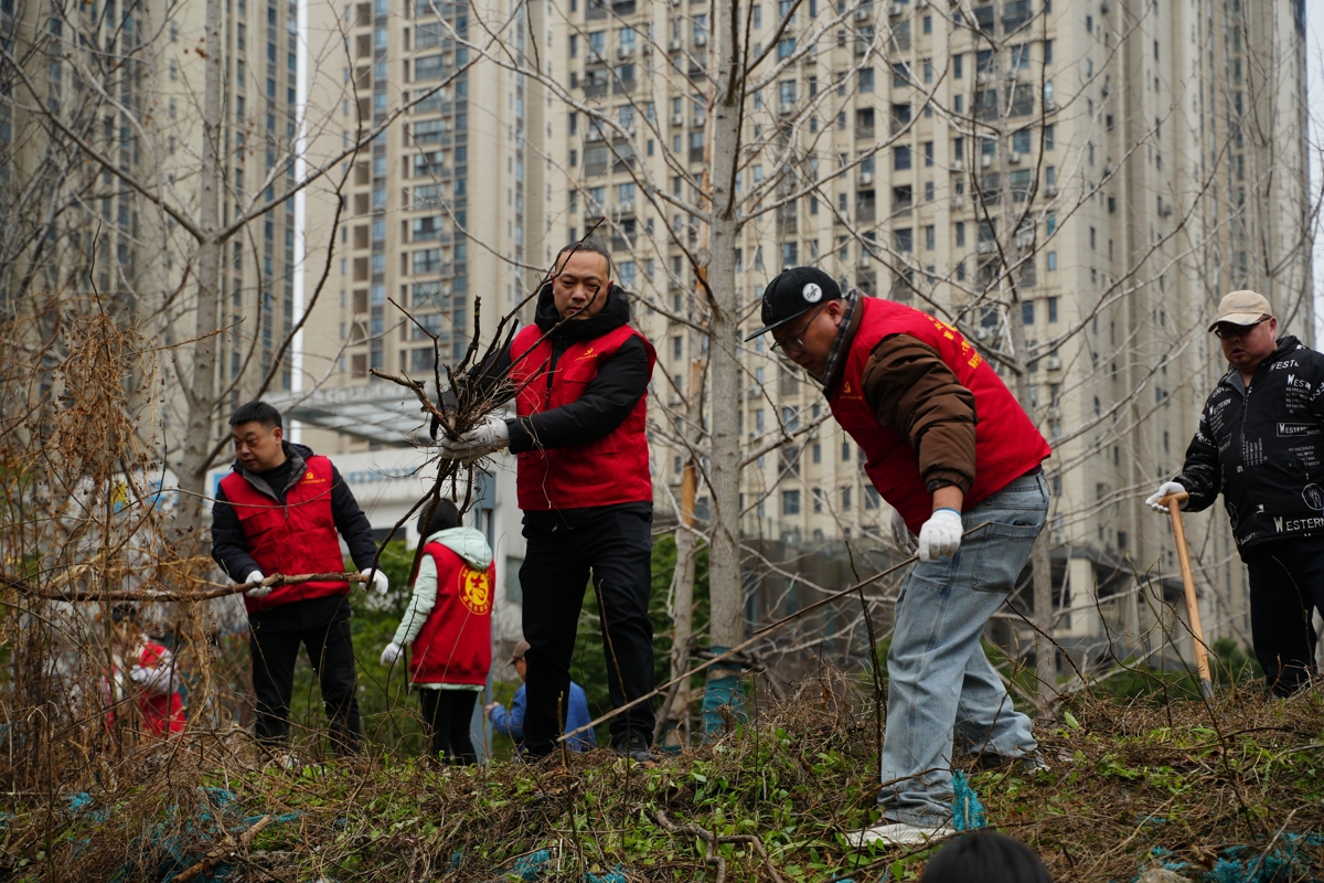 后湖街道花样年小区周边，来自区城管、园林、环卫等部门工作人员联合街道、社区及志愿者们齐聚于此，用扎实的劳动，为居民清扫出洁净天地 (8).JPG