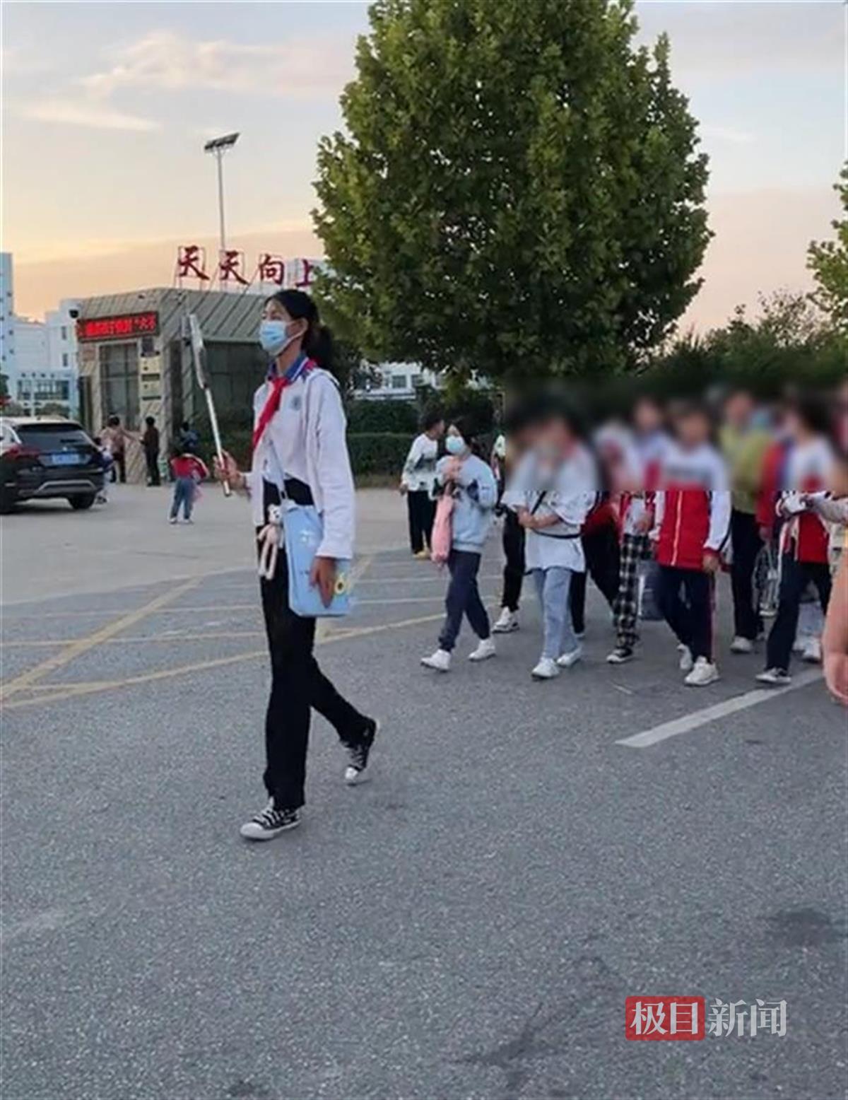 12岁小学生 