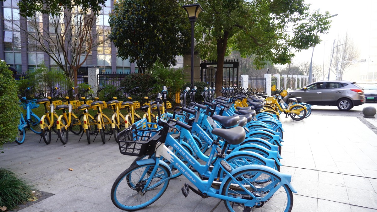 增设赏樱“潮汐停车点”，规范共享单车停放 (2).jpg