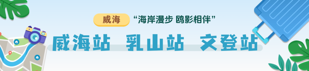 稿定设计-9.png