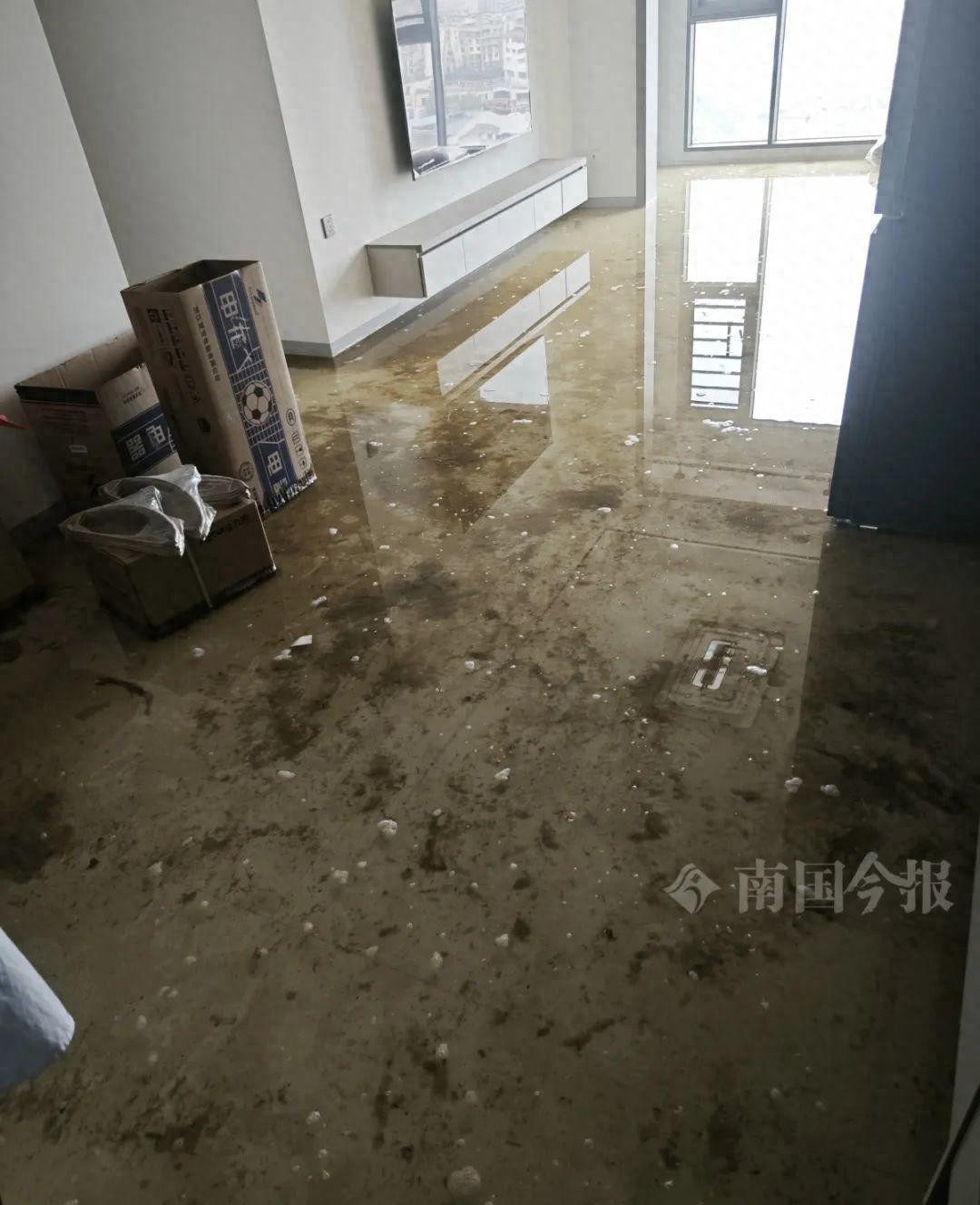 婚房被粪水浸泡！业主崩溃：全屋都是，无法接受