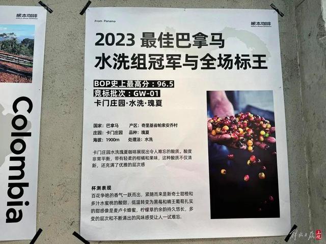 上海6200元一杯的咖啡已暂停销售！店员：预订掉了两杯你都知道哪些？