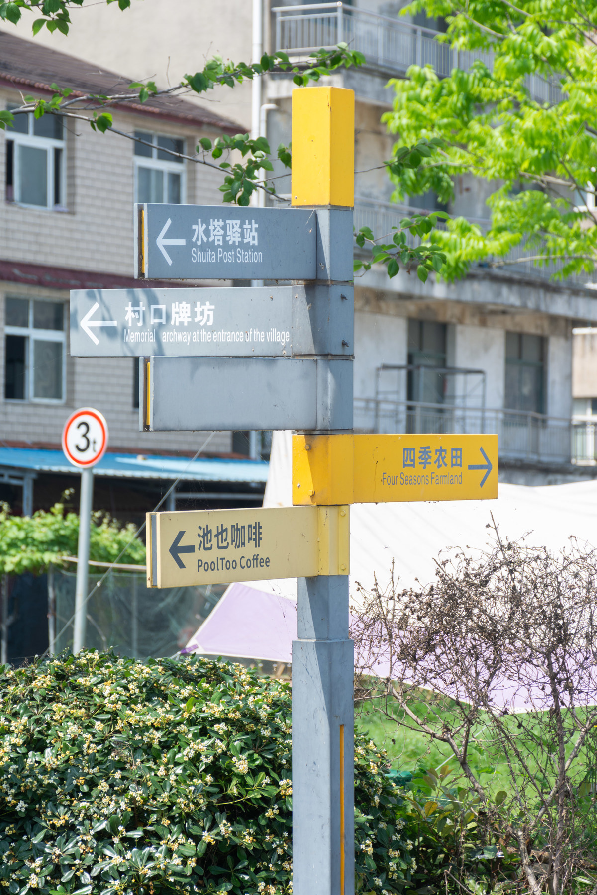 路标（学通社记者 刘晓桐 摄）.jpg