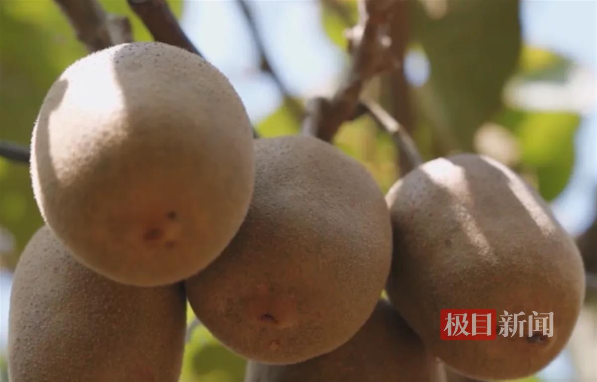联想截图_20241023152319.png