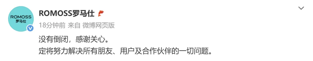 罗马仕辟谣倒闭传闻，回应“客服已读不回”：召回计划长期有效，请给我们一些时间