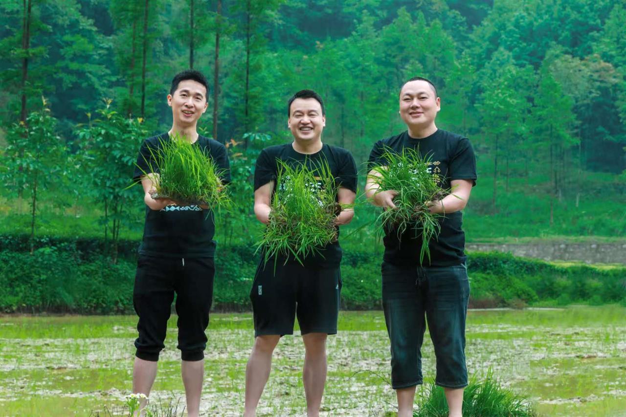 19d726034bdc34d1c09885d13e77b2c8.jpg 19d726034bdc34d1c09885d13e77b2c8.jpg