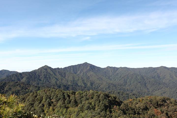 万字长文！人民日报记者两赴哀牢山核心区，带你深度了解-第7张-资讯-土特城网