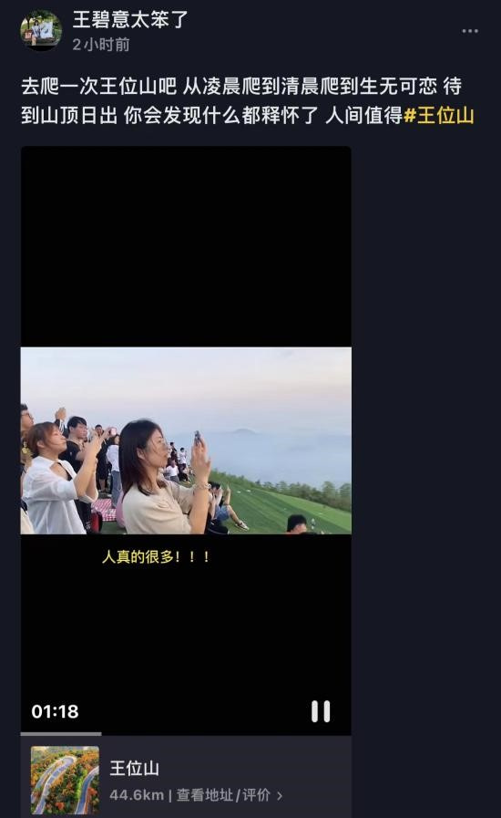 图源抖音网友@王碧意太笨了