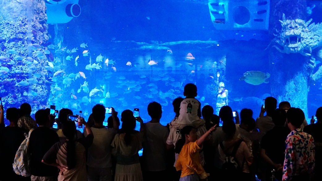 游客们在观看美人鱼表演
