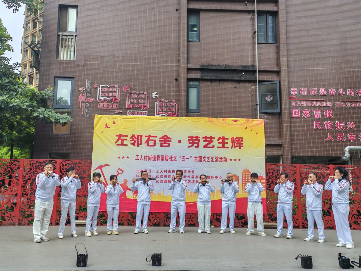 口琴演奏《啄木鸟之歌》_proc.jpg