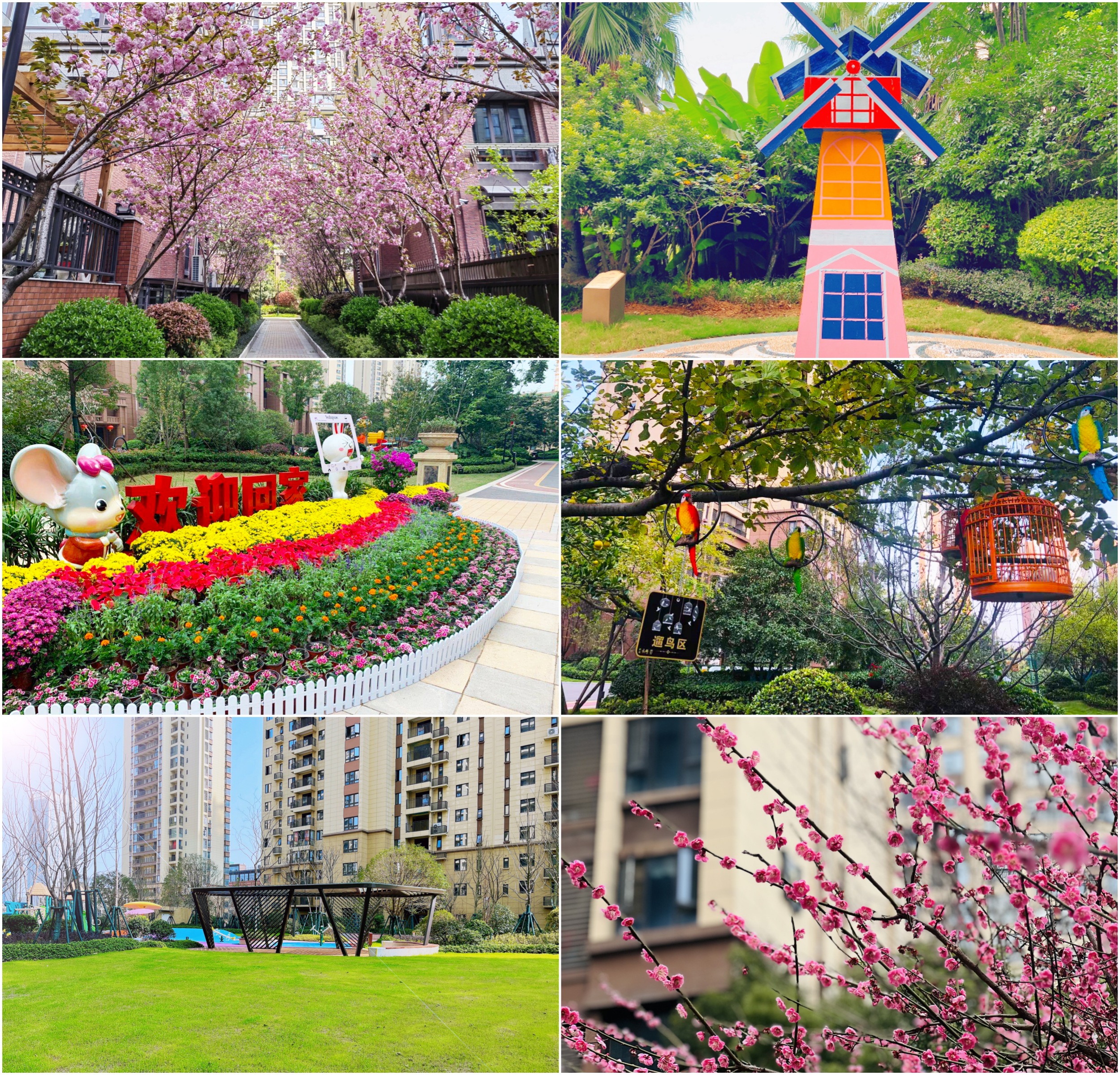 世茂服务武汉、合肥等各城市项目景观打造