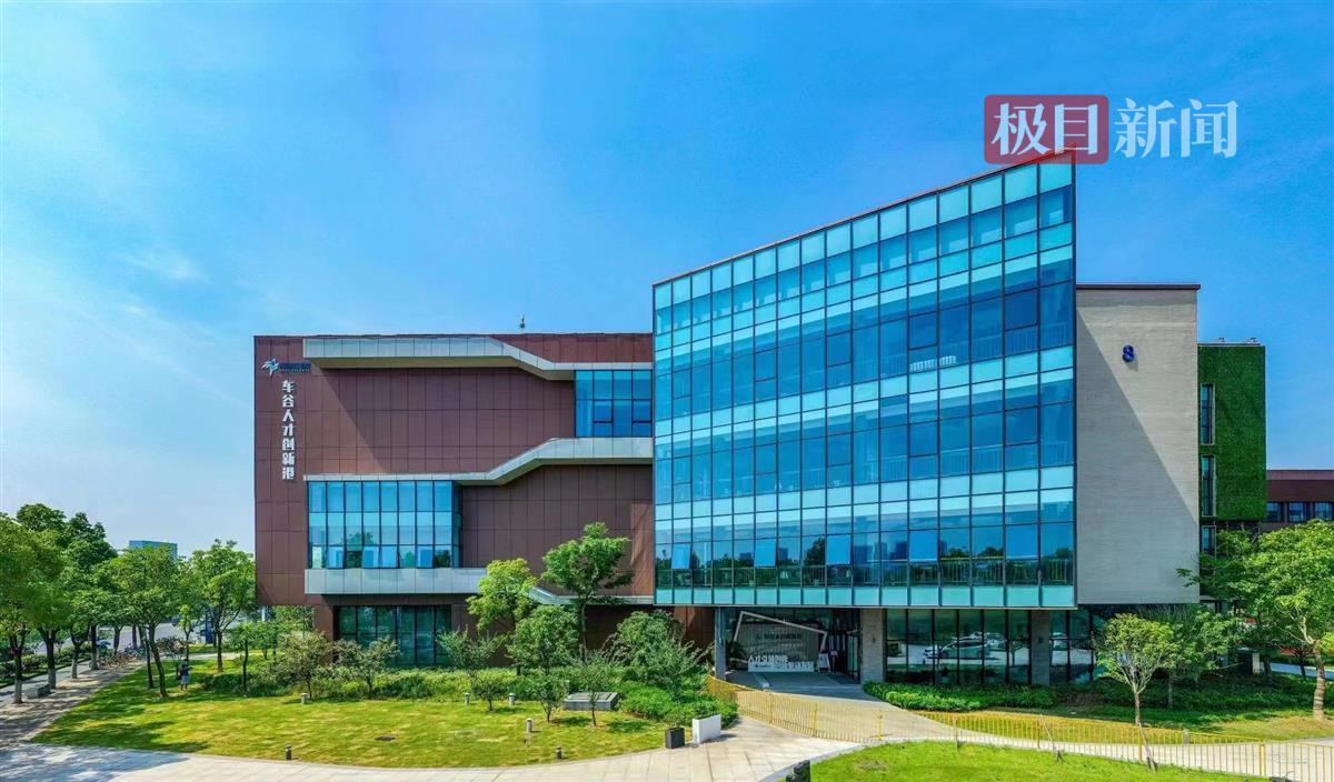 以大创新引领大转型，武汉经开区在全市科技创新大会上盛邀院士专家来车谷创新创业 | 极目新闻