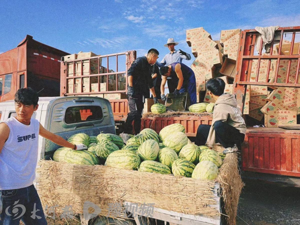 宁夏“瓜书记”辟谣硒砂瓜滞销，地头劝架，称遇到问题不打110也可以-第1张-资讯-青岛传媒有限公司