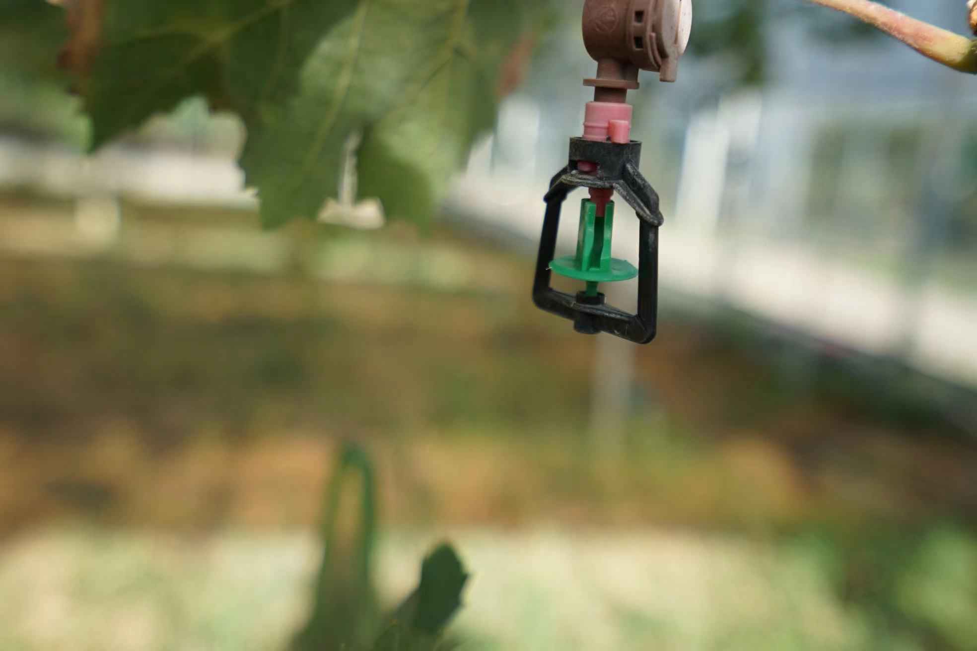 用以灌溉和施肥的水管