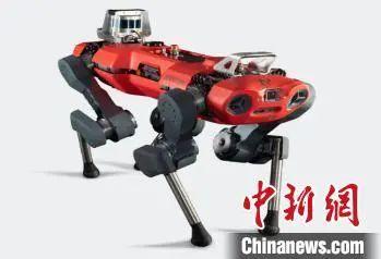 珠海航展，中国电科参展的ANYmal_C四足机器人。中国电科 供图